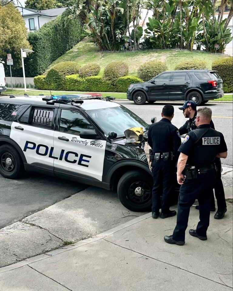 Grand Theft Suspect Arrested By BHPD