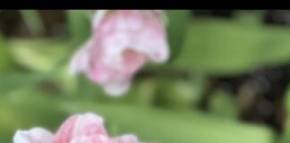 April At The Movies!