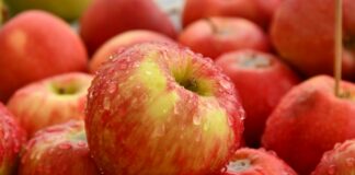 “Apples Never Fall” Is A Compelling Mystery