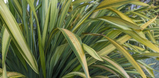 Mediterranean Climate Is Quite Californian Mediterranean