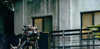 “Godzilla X Kong: The New Empire” Is Explosive Action!