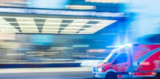 Auto Rollover In Pacific Palisades