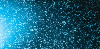 Outdoor Neighborhood Concerts On June 21