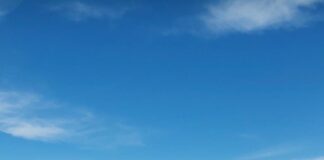 Celebrities And Wineries And More!