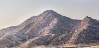 LAFD Firefighters Rescue Hiker in Distress