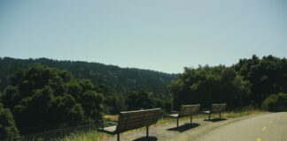 Allied Artists “Paint Out” August 10 In Malibu