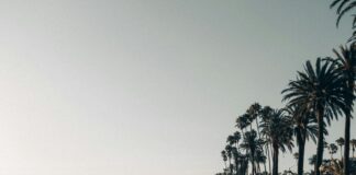 Caltrans PCH Master Plan Feasibility Study Workshops