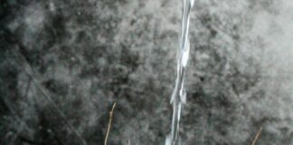 Murder Mystery Unfolding On “The Bold And The Beautiful”