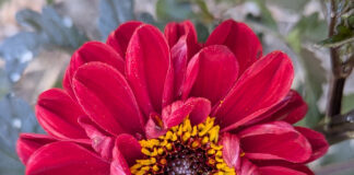 Summer Warmth Continues Into Autumn summer