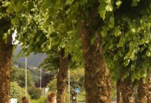 Walking Is Good Exercise, Clarity Of Mind