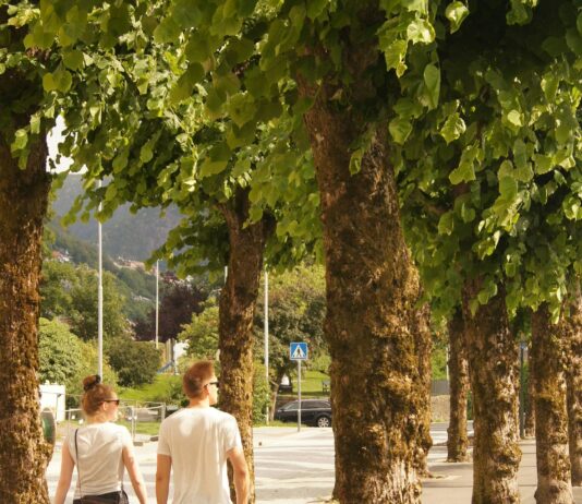 Walking Is Good Exercise, Clarity Of Mind