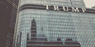 Celebrity, Amber Rose Takes A Stand For Trump