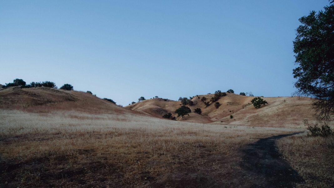 mark-pecar-wrkEkdZfkz0-unsplash