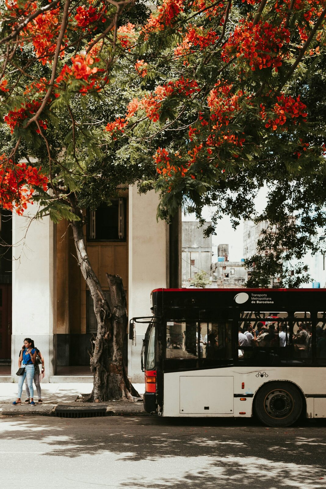 mollie-sivaram-1Wkl8h-7pFM-unsplash
