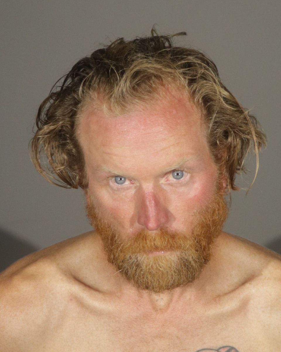 townson booking photo