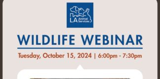 Wildlife Webinar Being Held