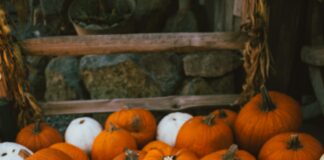 Pumpkin Themed Events At Santa Monica Farmer’s Market