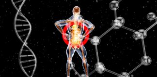 NAD+ Peptide: A Promising Frontier Peptide Research