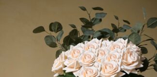 Six Arrested In Woodland Hills Robbery