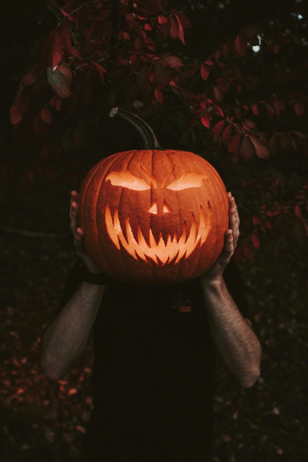 rick-monteiro--XUGYfWq9IU-unsplash