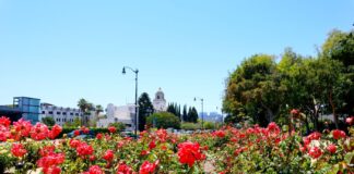 Beverly Hills Art Show At Beverly Gardens Park