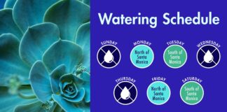 Beverly Hills Alerts Residents Of Holiday Watering Schedule