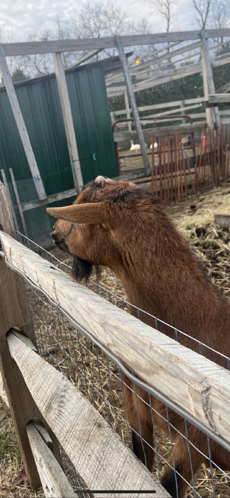Celebrities And The Farm Life!