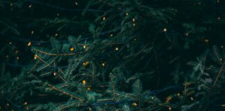 The Hustle And Bustle Of The Holidays