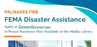 FEMA Disaster Assistance For Residents Impacted By Palisades Fire
