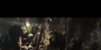 Celebrities And Family!