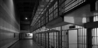 Suspects Charged For Crimes Committed During Wildfires