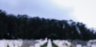 Drive-By Shooting At Hollywood Hills Cemetery, Suspect At-Large Cemetery