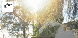 Feedback Wanted On Improvements At William S. Hart Park