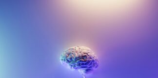 Clarity In The Brain