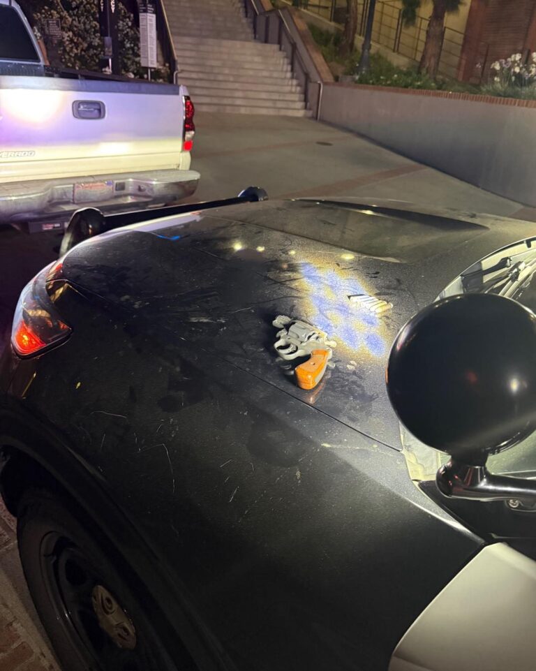UCLA PD Make Weapons Arrest