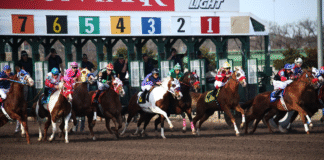 Everything You Need to Know for the 2025 Preakness Stakes: Schedules, Runners, and More