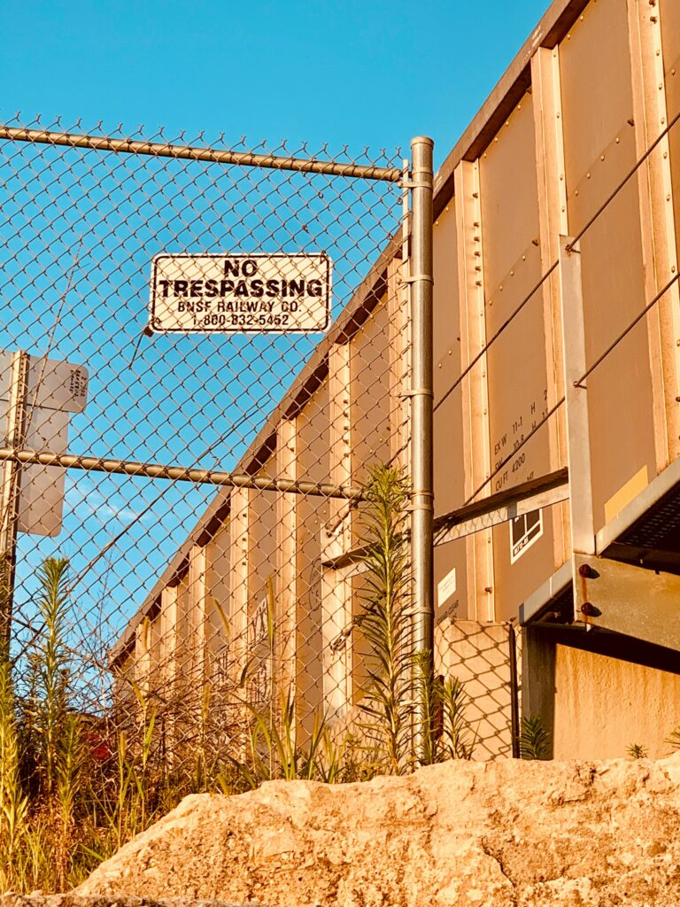 Criminals Protected By Sanctuary Laws, Arrested For Murder
