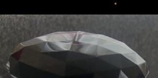 What’s New For Versace?