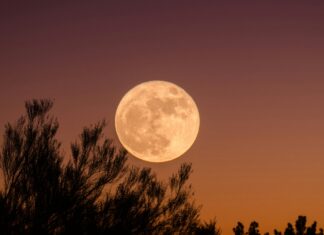The Full Moon in June
