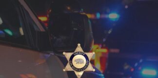 Fatal Hit-And-Run At Fountain Avenue And Gardner Street