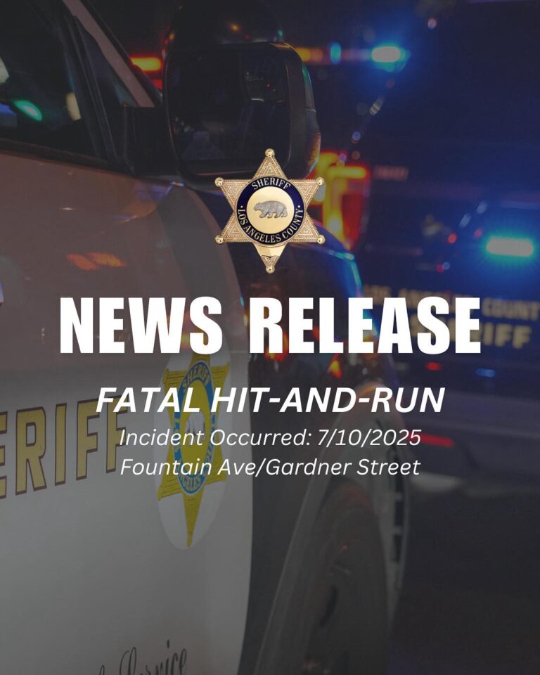 Fatal Hit-And-Run At Fountain Avenue And Gardner Street