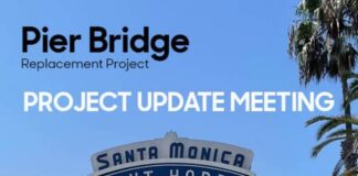 Pier Bridge Replacement Project Meeting