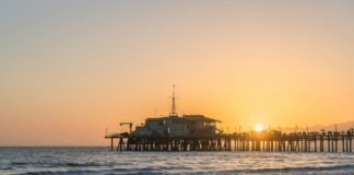 SMPD Takes Armed Suspect And Dog Into Custody