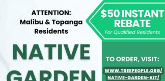City Selling Native Garden Kits