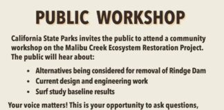Public Workshop For Malibu Creek Ecosystem Restoration Project