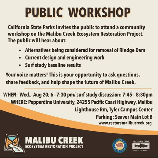 531965358_1162433402580915_2120944494385794136_n