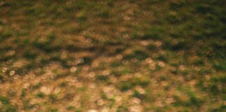 What Makes SaaS Marketing So Different?