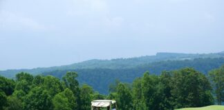 Golfcart Crashes On Grayfox Street