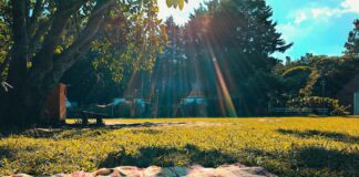 Americana In The Park Taking Place September 14