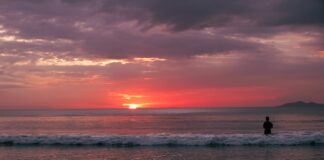 Santa Monica Reports Reason For Pink Waves